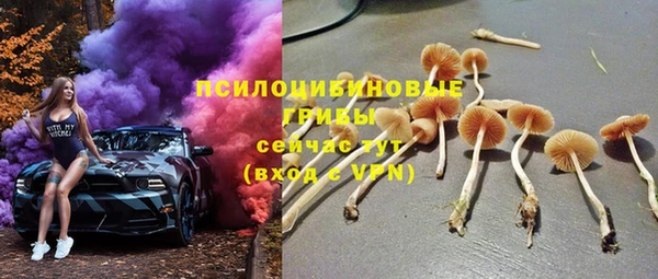 шишки Богданович